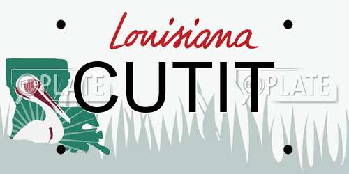CUTIT Louisiana License Plate