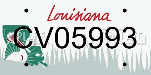 CV05993 Louisiana License Plate
