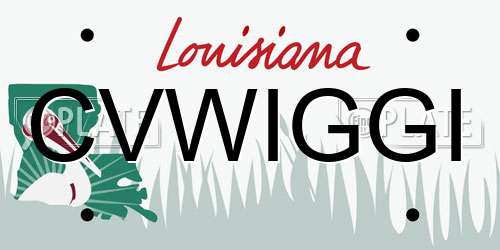 CVWIGGI Louisiana License Plate