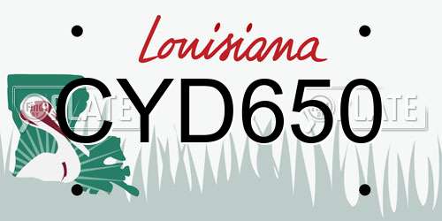 CYD650 Louisiana License Plate