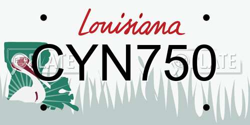 CYN750 Louisiana License Plate