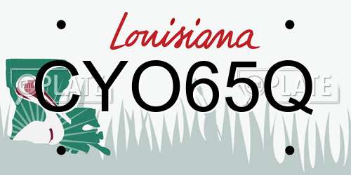 CYO65Q Louisiana License Plate