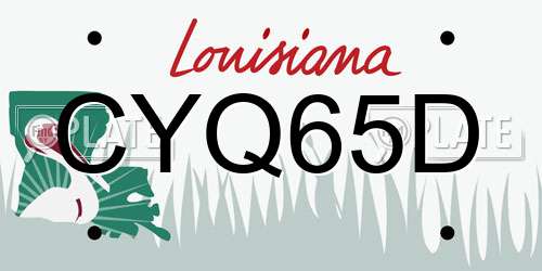 CYQ65D Louisiana License Plate