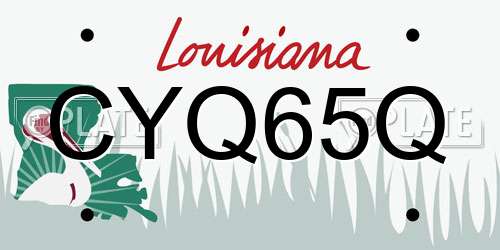 CYQ65Q Louisiana License Plate