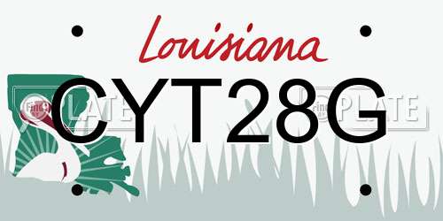 CYT28G Louisiana License Plate