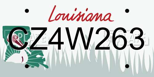 CZ4W263 Louisiana License Plate