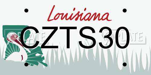 CZTS30 Louisiana License Plate
