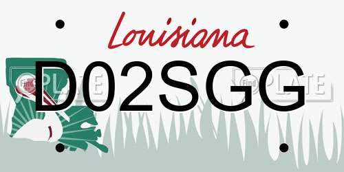D02SGG Louisiana License Plate
