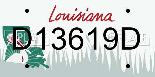 D13619D Louisiana License Plate