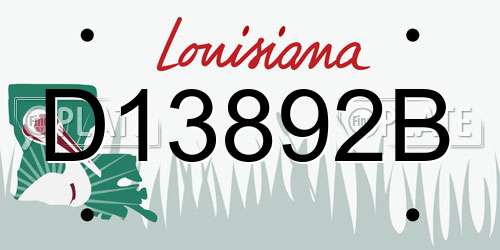 D13892B Louisiana License Plate
