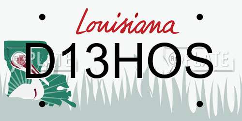 D13HOS Louisiana License Plate