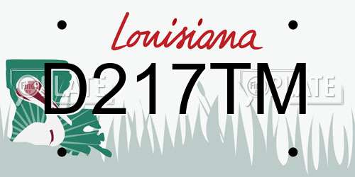 D217TM Louisiana License Plate