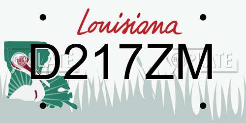 D217ZM Louisiana License Plate