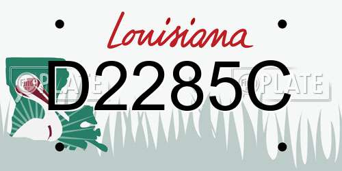 D2285C Louisiana License Plate