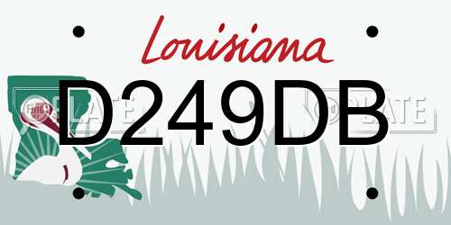 D249DB Louisiana License Plate