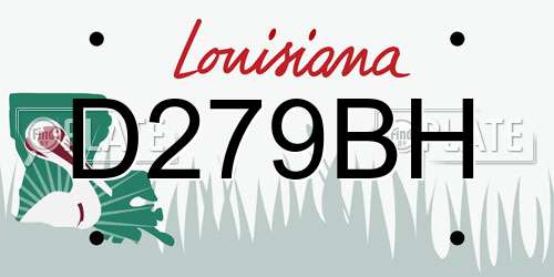 D279BH Louisiana License Plate