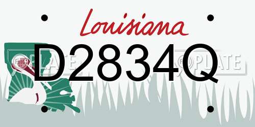 D2834Q Louisiana License Plate