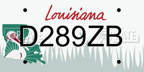D289ZB Louisiana License Plate