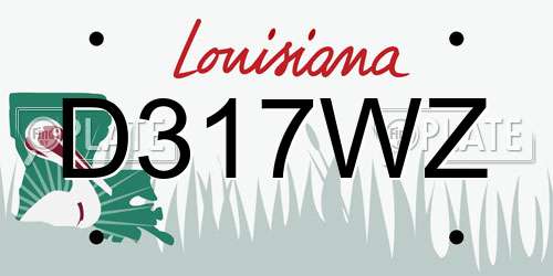D317WZ Louisiana License Plate
