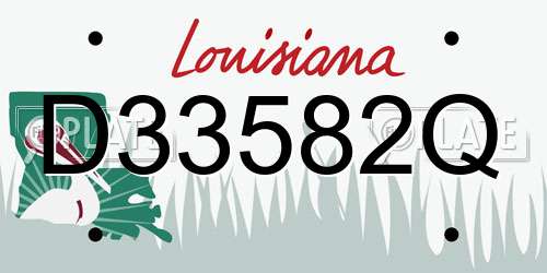 D33582Q Louisiana License Plate