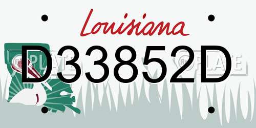D33852D Louisiana License Plate