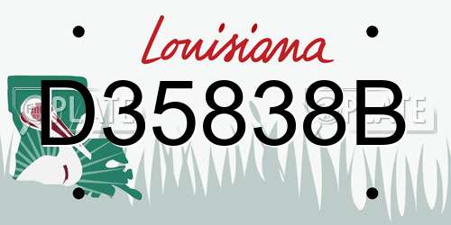 D35838B Louisiana License Plate