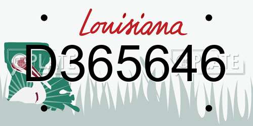 D365646 Louisiana License Plate