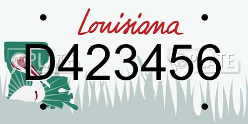 D423456 Louisiana License Plate