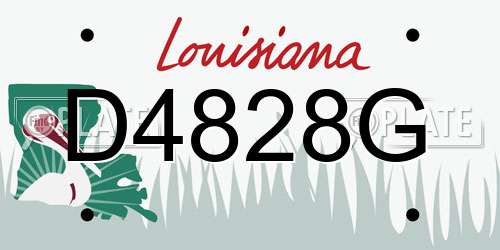 D4828G Louisiana License Plate