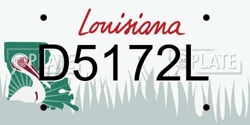 D5172L Louisiana License Plate