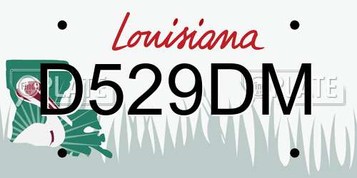 D529DM Louisiana License Plate