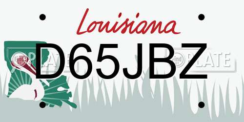 D65JBZ Louisiana License Plate