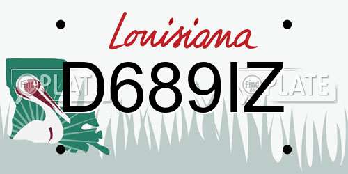 D689IZ Louisiana License Plate