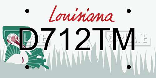 D712TM Louisiana License Plate