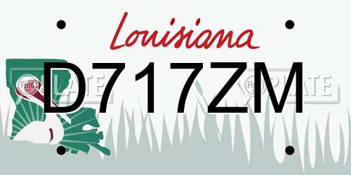 D717ZM Louisiana License Plate
