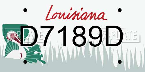 D7189D Louisiana License Plate