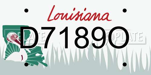 D7189O Louisiana License Plate