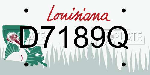 D7189Q Louisiana License Plate