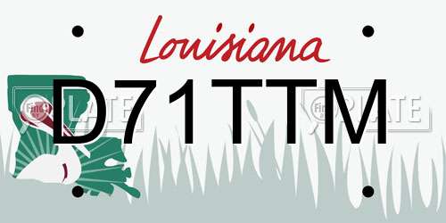 D71TTM Louisiana License Plate