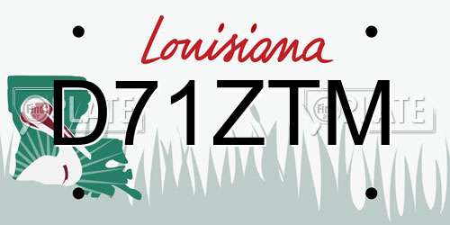 D71ZTM Louisiana License Plate