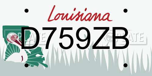 D759ZB Louisiana License Plate