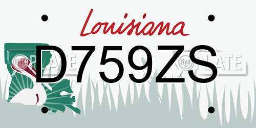D759ZS Louisiana License Plate