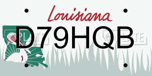 D79HQB Louisiana License Plate