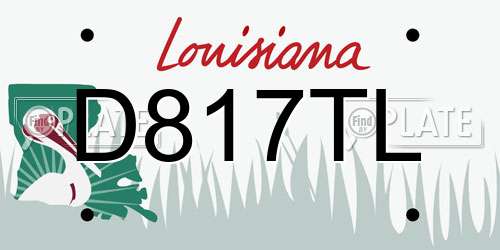 D817TL Louisiana License Plate