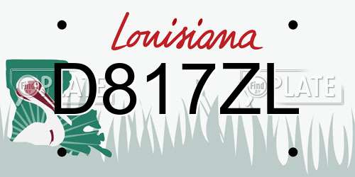 D817ZL Louisiana License Plate
