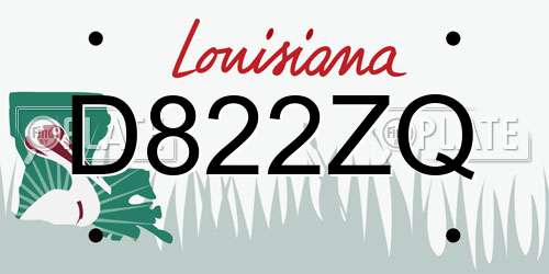 D822ZQ Louisiana License Plate