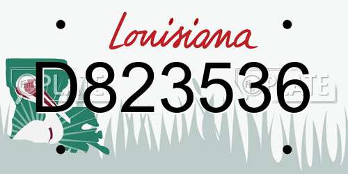 D823536 Louisiana License Plate