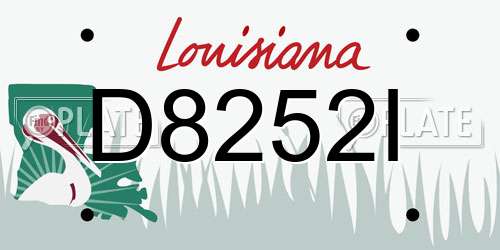 D8252I Louisiana License Plate