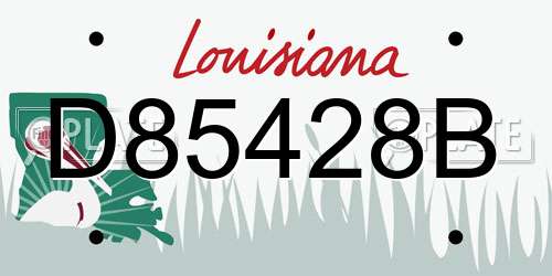 D85428B Louisiana License Plate
