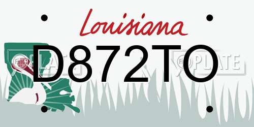D872TO Louisiana License Plate